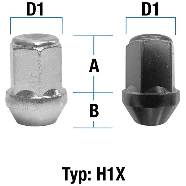 Abbildung von Typ H1X (H1V/H1W)