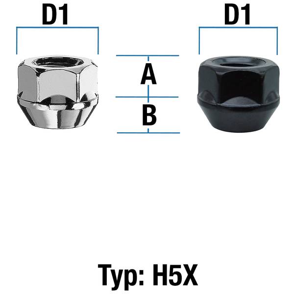 Abbildung von Typ H5X (H5V/H5W)