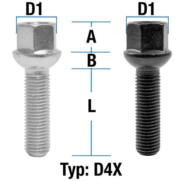 depiction of Typ D4X (D4V/D4W)