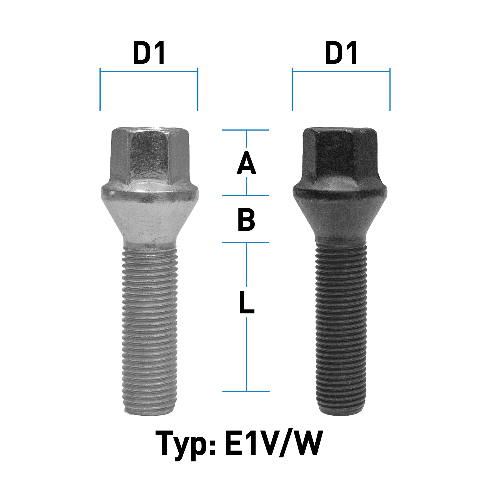 depiction of Typ E1X (E1V/E1W)
