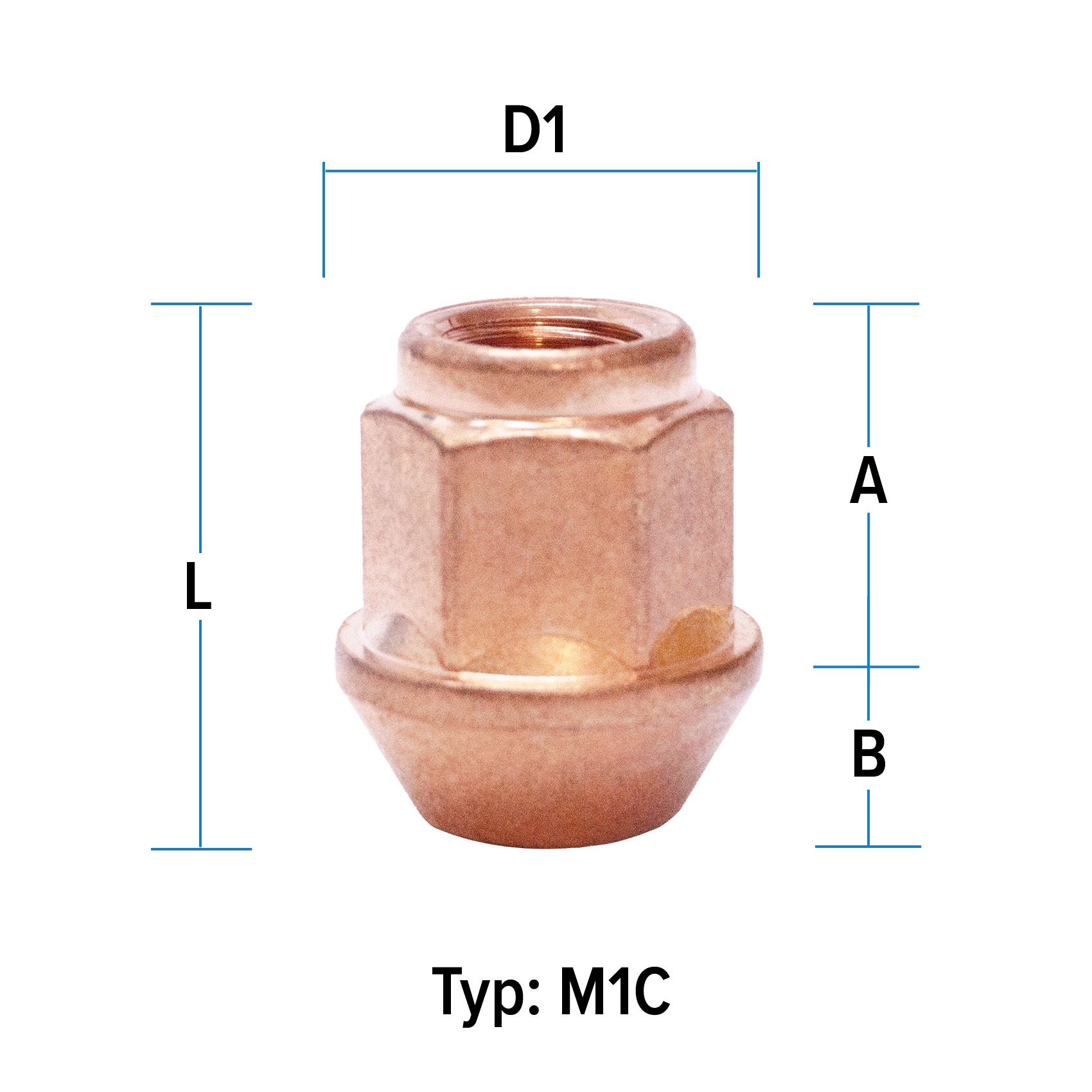 depiction of Typ M1C
