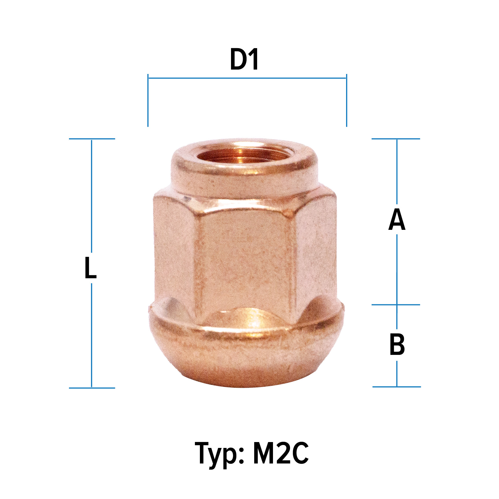 depiction of Typ M2C