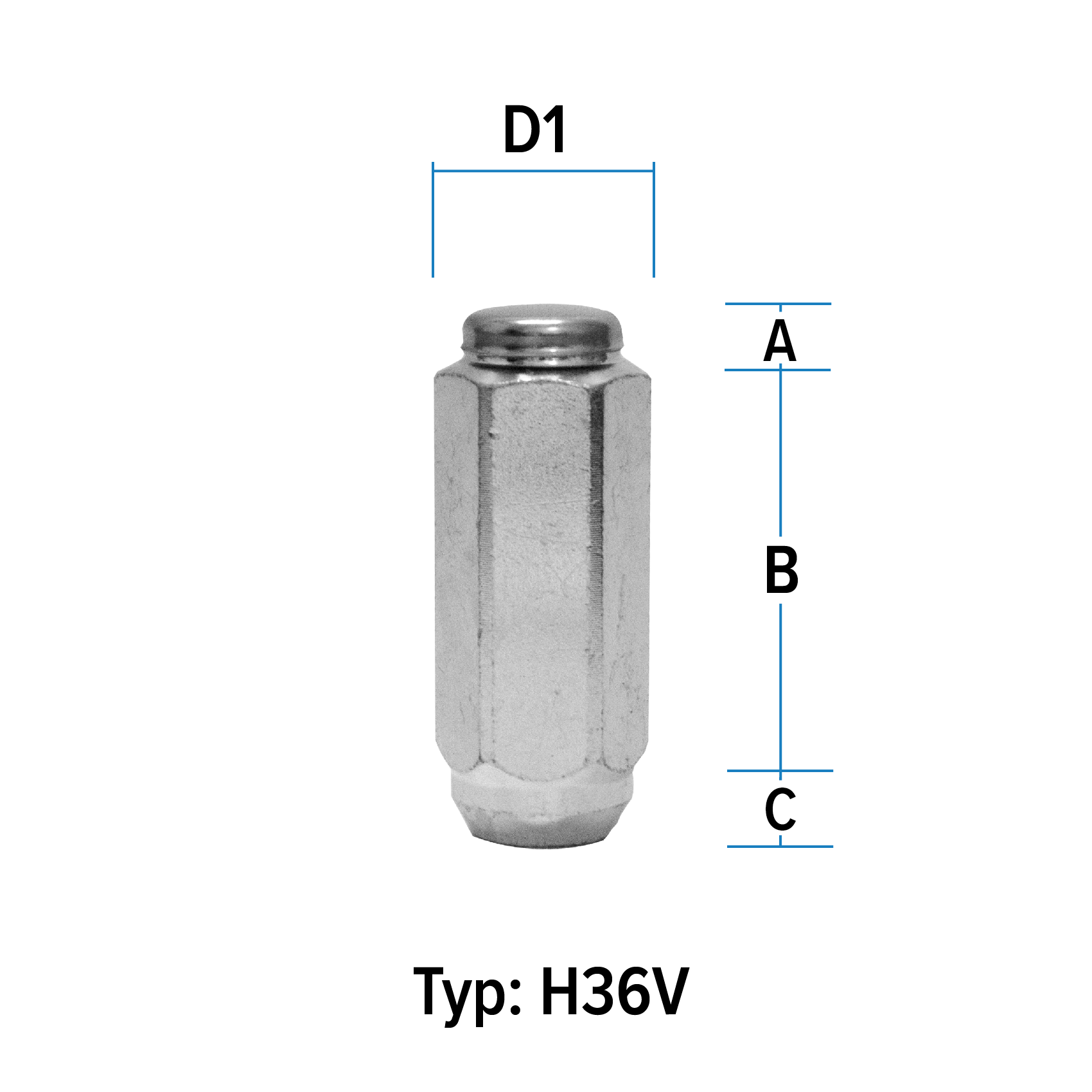 Abbildung von Typ H36V