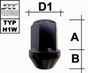 depiction of Typ H9W