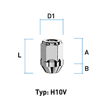 depiction of Typ H10V