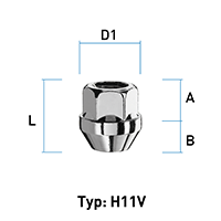 Abbildung von Typ H11V