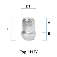 depiction of Typ H12V