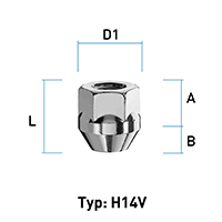depiction of Typ H14V