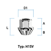 depiction of Typ H15V