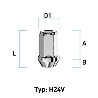 Abbildung von Typ H24V