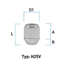 depiction of Typ H25V