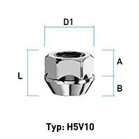 Abbildung von Typ H5V10