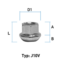 Abbildung von Typ J10V