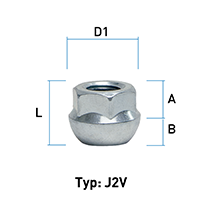 depiction of Typ J2V