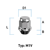 Abbildung von Typ M1V