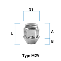 depiction of Typ M2V