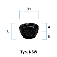 depiction of Typ N5W