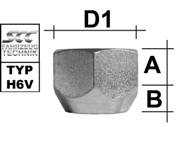 depiction of Typ H6V