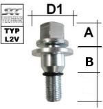 depiction of Typ L2V