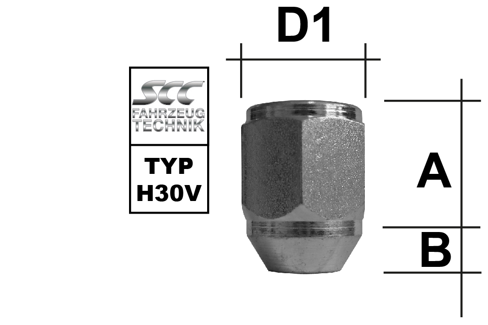 depiction of Typ H30V